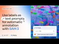 CVAT SAM 3 Faster Repeated-Object Segmentation with Text Prompts