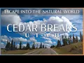 Cedar Breaks National Monument in 4K Alpine Meadow Aerial Views and Scenic Drive