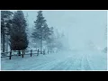 Intense Blizzard in the Mountains Heavy Wind Sounds for Sleeping Howling Wind Blowing Snow