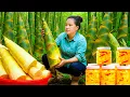 Download Lagu Panen Rebung Raksasa Segar di Hutan – Membuat Acar Rebung Pedas yang Tahan Lama \u0026 Lezat