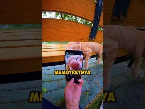 Dikira Sudah Mati, Ternyata Mata Kucing Ini Terbuka! 😱🐱 #shorts
