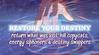 RESTORE YOUR DESTINY Return What S Lost Kill Copycats Energy Siphoners Unisex Subliminal 