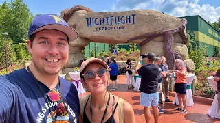 Dollywood s NEW NightFlight Expedition First Ride Full Experience