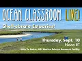 Shell-ebrate Estuaries - GSO Ocean Classroom Episode-10
