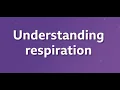 Understanding Respiration - BBC Bitesize KS3