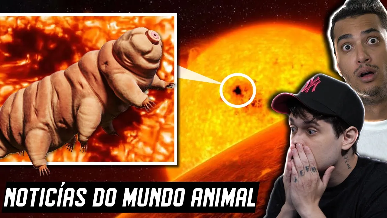 NASA avista um TARDÍGRADO NO SOL?? - O ser MAIS RESISTENTE DO MUNDO