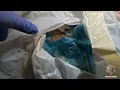 MCSO Animal Crimes Investigation Uncovers Numerous Deceased Cats in Morristown