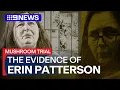 Download Lagu Mushroom Murder Trial: Erin Patterson's testimony, as it happened | 9 News Australia