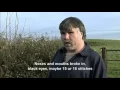 Joe Joyce King of the Travellers A real tough guys tough guy