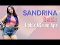 Download Lagu DJ Sandrina Habis Minum Apa Remix Viral | DJ Remix Terbaru 2022 Full Bass