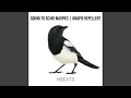 Download Lagu Suara untuk Menakuti Burung Murai | Pengusir Burung Murai
