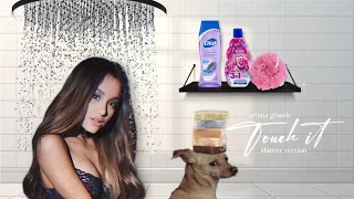 Download Ariana Grande - Touch It (shower version) MP3