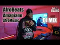AfroBeats 2025 DJ MIX ft Burna Boy, Tems,  Davido, Asake, Rema, Wizkid