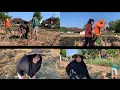 Download Lagu KEGITAN KELUARGA CEMARA PAGI HARI INI NEG SAWAH 🤗 BUJANG KARO PRAWAN E GELEM NGEWANGI GAES 🙏🏻