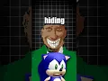 THIS SONIC MYSTERY IS CRAZY