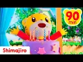 🎉🎂 Happy Birthday, Shimajiro! 🐯🎶 90 Minutes of Celebration Songs \u0026 Stories! ✨