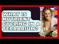 What Is Nutrient Cycling In A Terrarium - The Upcycle Lab