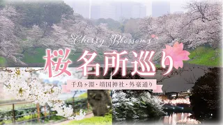 Download [Tokyo Walk] Take a leisurely stroll to see the cherry blossoms in full bloom MP3