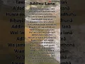 Download Lagu Lirik Addinu Lana #shorts