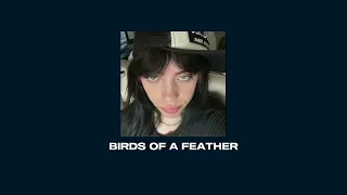 Birds Of A Feather Billie Eilish Slowed Reverb 