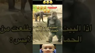 ههههههههههه         دندنها