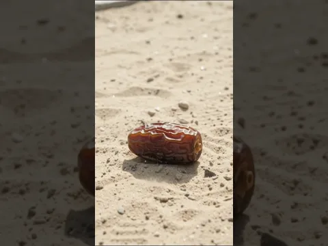 A Tiny Date Seed Grew Into a Massive Palm Tree! 🌴😱 | Incredible AI Story