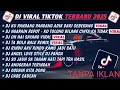DJ VIRAL TIKTOK 2025 TANPA IKLAN 