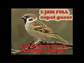 Download Lagu masteran gereja tarung 1 jam nonstop