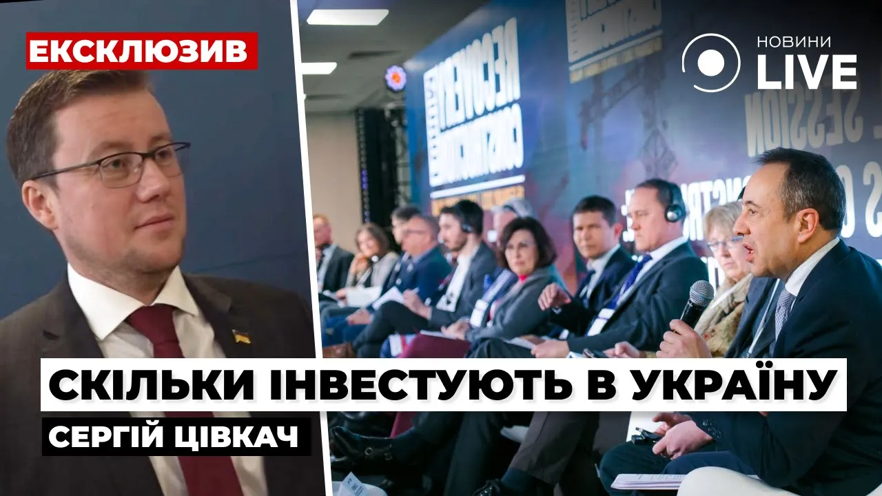 Інвестиції в Україну — Цівкач розповів про роботу проєкту Ukrinvest
