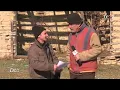 Download Lagu Vărul Vili și drujba fermecată