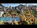 Lagu BANJIR DURIAN LOKAL DI PASAR DORO ||  Selasa, 16 Desember 2025