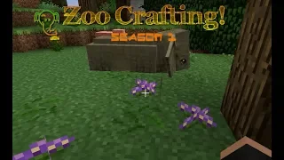 zoo crafting season 1 episode 7 a whole new world 