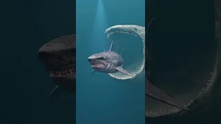 Fish Eat Fish Piranha Vs El Gran Maja 