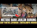 Lagu REKOR‼️METODE BARU JUAL TROTOLAN FIGHTER‼️BONUS SEGUDANG🔥 SEKOLAH MURAI DAN SIAP PANTAU LAPANGAN