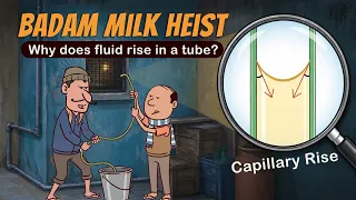 Capillary Rise aur Badam milk ki chori || Adhesiv and cohesive forces