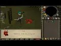 cats can attack you on osrs