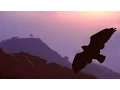 Download Lagu Pan Flute Romantic Instrumental Music / More than 2 hours of flute de pan love songs