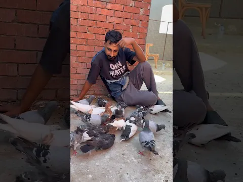 بفكر اعمل غيه جديده🤔