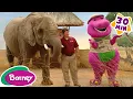 Download Lagu Animal Fun with Barney | Taking Care of Animals Compilation | Barney the Dinosaur