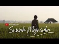 Lagu Cinematic Video | Sawah Majasuka 2019