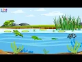 Life Cycle of Frog Frog life cycle s for kids SuperMindz