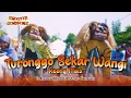 Download Lagu KOMPAKK ‼️ TURONGGO SEKAR WANGI KEONG MAS DI KARNAVAL TRUKO