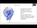 Tulip Data visualization