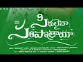 Download Lagu SIRULAINA SARIPOTHAYA SONG  l Saiteja  Anil #anil #trending #folksong #telugufolksong