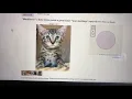 Craigslist - How to Post
