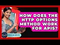How Does The HTTP OPTIONS Method Work For APIs - Server Logic Simplified