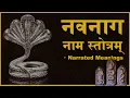 Download Lagu Nava Naga Nama Stotram - Guided Chant with Narrated Meanings