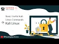 Day 4 I Basic Useful Kali Linux Commands