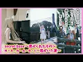 Download Lagu 【ストリートピアノ】めんまはね、今年も「secret base～君がくれたもの～」「H・A・N・A・B・I ～君がいた夏～」を弾く為に秩父に帰ってきたよ！Piano Cosplay 【あの花】