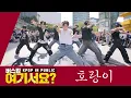[버스킹 여기서요?] 호시 HOSHI  - 호랑이 Tiger | 커버댄스 Dance Cover @20230923 신촌 버스킹